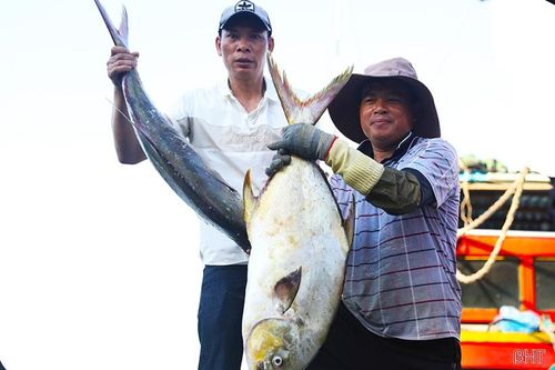 Ngư dân Hà Tĩnh mang về hơn 18.400 tấn 'lộc biển'