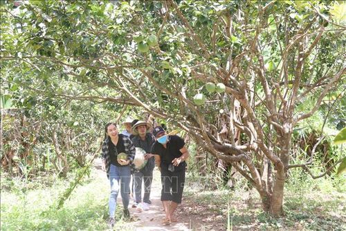 Thu hút du khách bằng những điểm đến xanh mát, nhiều trải nghiệm