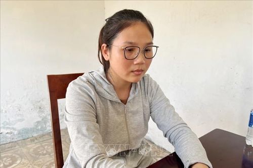 Tạm giữ hình sự nữ giám đốc để điều tra hành vi lừa đảo, chiếm đoạt tài sản