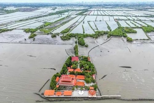 Ngôi làng ở Thái Lan bị nước biển nhấn chìm từng ngày