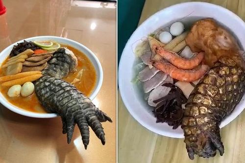 Món mì ramen chân cá sấu khiến thực khách can đảm nhất cũng chùn bước