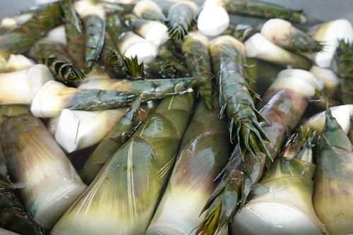 Đến hẹn, thưởng thức măng tầm vông