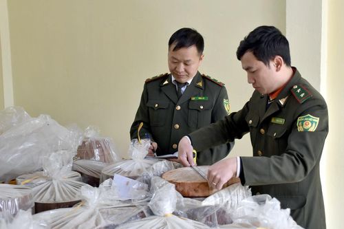 Tủa Chùa tăng cường quản lý, bảo vệ rừng