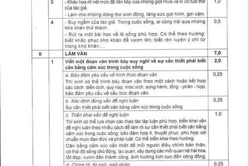Bộ GD-ĐT công bố đáp án môn ngữ văn kỳ thi tốt nghiệp THPT