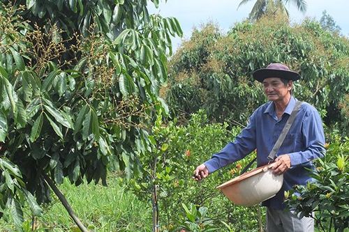 Phong trào Nông dân sản xuất kinh doanh giỏi góp phần phát triển kinh tế - xã hội