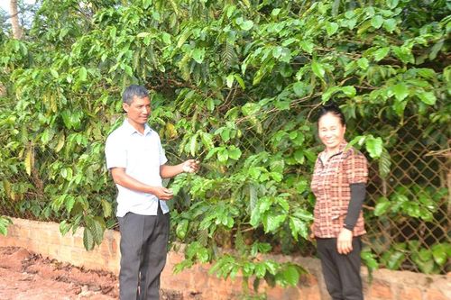 Khởi sắc Đak Sơ Mei