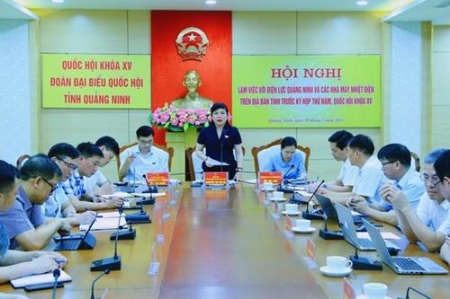 Mang thực tiễn sinh động đến nghị trường