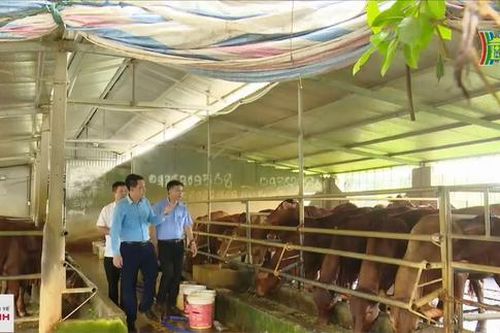 Ngân hàng thừa vốn, hợp tác xã khó tiếp cận