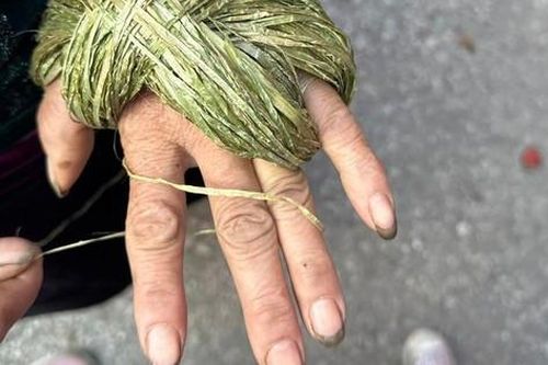 Đôi bàn tay mẹ