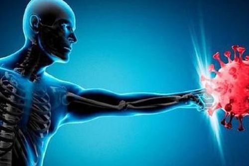 Những kháng sinh tự nhiên vừa dễ tìm vừa tốt cho sức khỏe