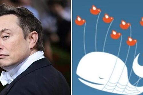 Người dùng Twitter than trời vì lỗi, Elon Musk ra thông báo nhưng bị cho là quá 'cùn'