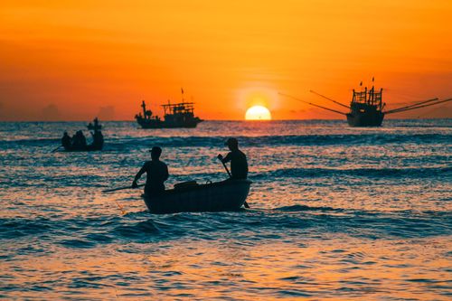 Chợ cá lớn nhất Quảng Nam lúc sáng sớm