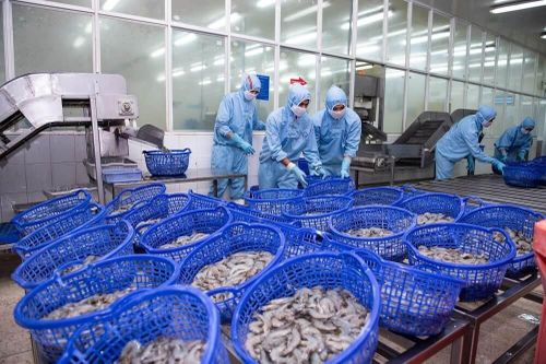 Doanh số bán tôm của Sao Ta cao nhất từ đầu năm