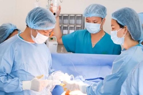 Nhiều chuyên gia hàng đầu về y học bào thai tham dự Hội nghị Y học Bào thai lần thứ I