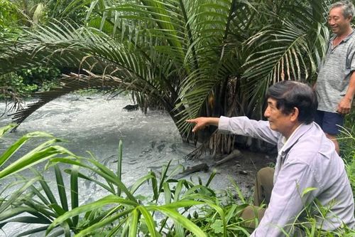 Cần sớm khắc phục tình trạng ô nhiễm môi trường từ sản xuất thạch dừa