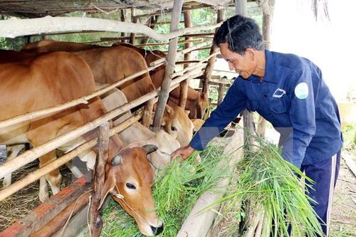 Thách thức trong nỗ lực giảm nghèo
