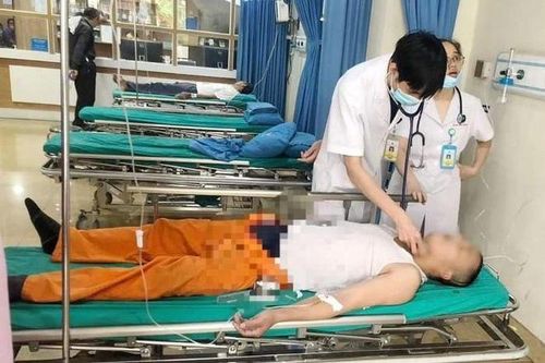 3 người đàn ông nguy kịch do bị ong đốt