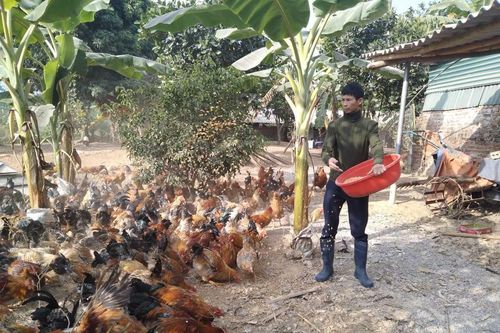 Cách thoát nghèo ở huyện miền Đông tỉnh Quảng Ninh