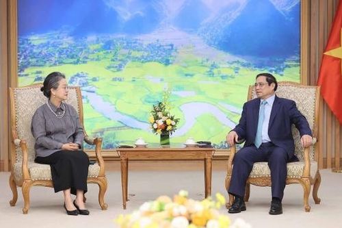 Việt Nam coi trọng vai trò của Liên hợp quốc trong thúc đẩy hợp tác đa phương để giải quyết các vấn đề toàn cầu