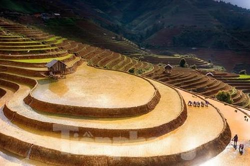 Ngắm nhìn ruộng bậc thang Mù Cang Chải mùa nước đổ