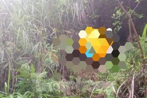 Đã tìm thấy thi thể người phụ nữ mất tích bí ẩn trên đồi ở Lạng Sơn