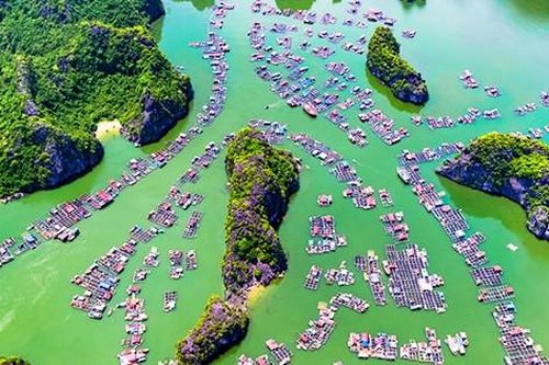 Làng chài Cửa Vạn lọt top 'làng cổ đẹp như tranh' của thế giới