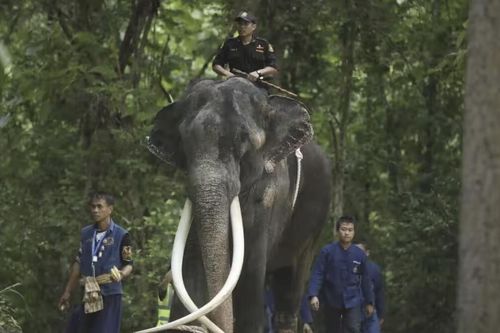Thái Lan đòi Sri Lanka trả lại món quà tặng từ năm 2001