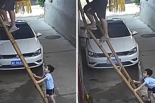 Cậu bé 6 tuổi giữ chặt chiếc thang sắp gãy, cứu bố khỏi bị ngã