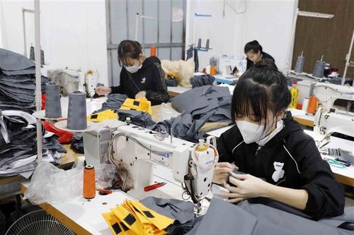 Đăng ký kinh doanh và thuế: Hộ kinh doanh chỉ cần nộp một bộ hồ sơ