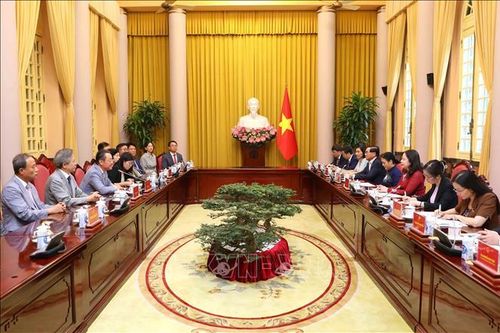 Phó Chủ tịch nước tiếp Đoàn đại biểu Hội Những người Hàn Quốc yêu Việt Nam