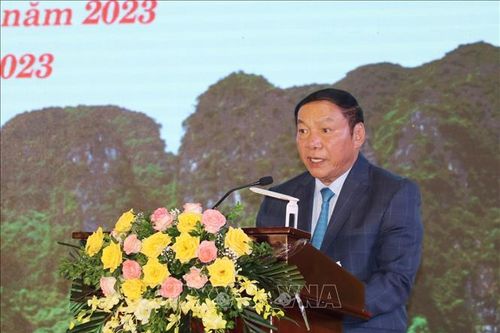 Đẩy mạnh quá trình chuyên nghiệp hóa và xã hội hóa thể thao