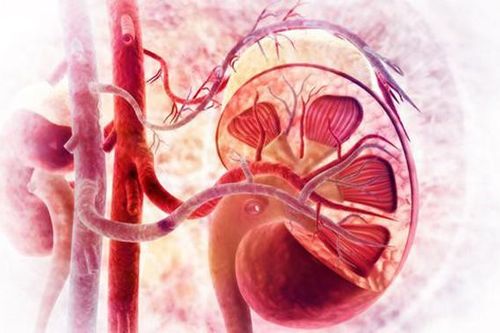 1 thói quen dễ mắc ở người Việt có thể gây suy, hỏng thận: Bác sĩ đưa ra cảnh báo 'đỏ'