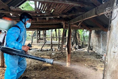 Krông Pa khoanh vùng, khống chế bệnh ung khí thán trên đàn bò