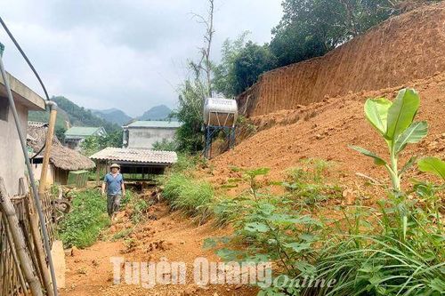 Toàn tỉnh có 44 xã nằm trong vùng có nguy cơ sạt lở đất đá rất cao