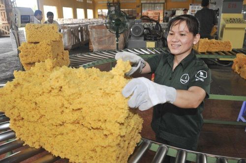 Cao su Đồng Phú (DRP): Tham vọng xoay trục sang kinh doanh bất động sản khu công nghiệp