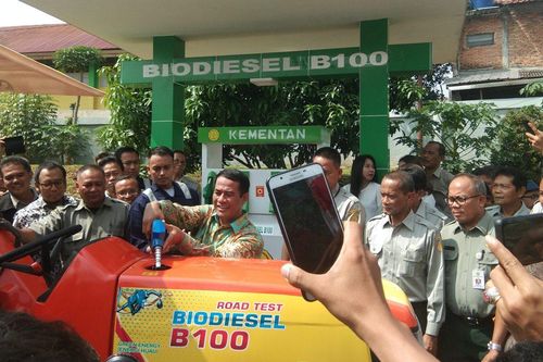 Indonesia sẽ tăng cường sử dụng dầu cọ để sản xuất xăng sinh học