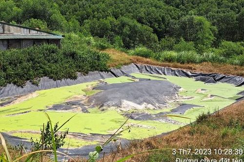 Hà Tĩnh: Khu trại lợn tập trung bị phản ánh khiến cuộc sống người dân đảo lộn