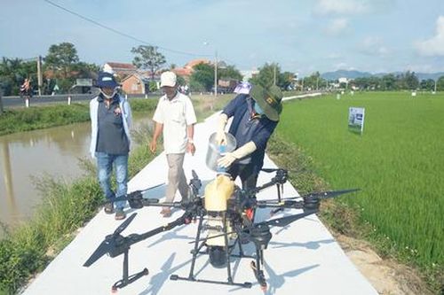 Những mô hình hay tạo bước ngoặt cho nông dân Phú Yên