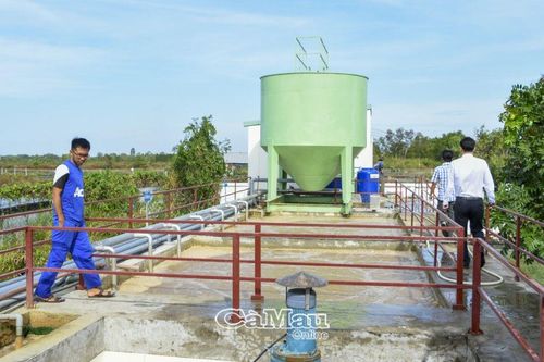 Xử lý nghiêm đơn vị gây ô nhiễm môi trường
