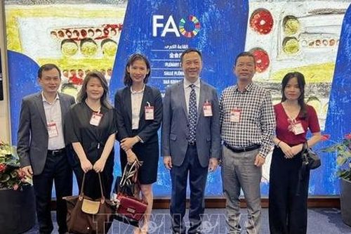 Việt Nam tham dự phiên họp lần thứ 43 Hội nghị cấp Bộ trưởng của FAO