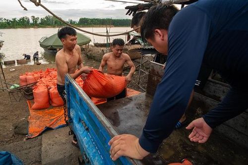 Làng nghề 'đãi hến' hơn 300 tuổi, nét đẹp bên bờ sông La