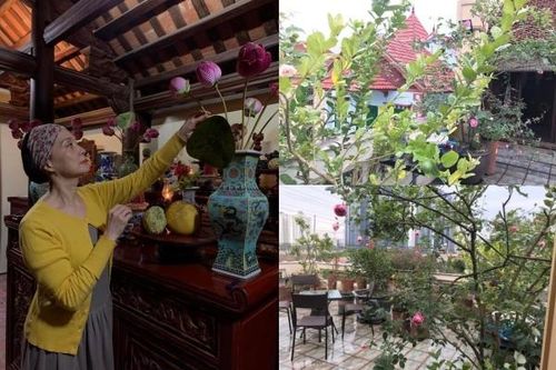 Bên trong 'biệt thự xanh' giữa phố của NSND Lê Khanh