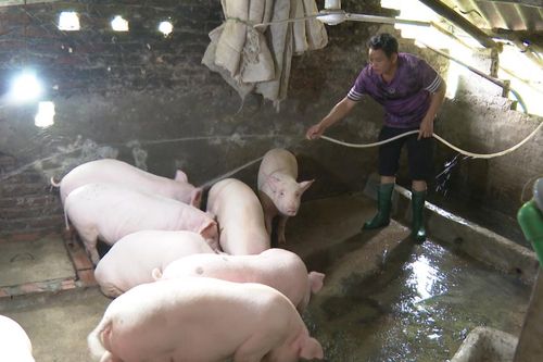 Người mù ở Quảng Ninh vươn lên thoát nghèo