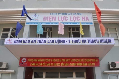 Tạm đình chỉ công tác 2 công nhân Điện lực ở Hà Tĩnh