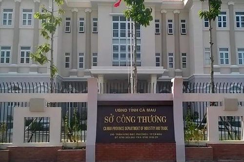 Nguyên Giám đốc Sở ở Cà Mau bị kỷ luật vì kê khai tài sản không trung thực