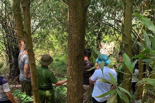 Phát hiện thi thể nữ sinh dạt vào bờ ở hồ Núi Cốc