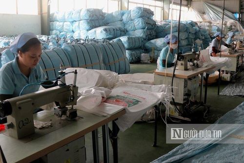Kiên Giang: Thành lập Tổ công tác đặc biệt gỡ khó khăn cho doanh nghiệp