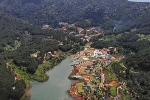 Xem xét chuyển 5,3 ha rừng phòng hộ môi trường cảnh quan Đà Lạt làm Khu du lịch nghỉ dưỡng