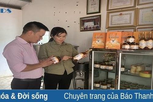 Xây dựng thương hiệu cho mật ong xứ Thanh