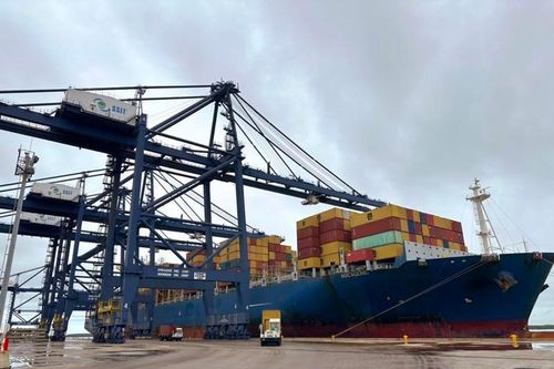Hãng tàu MSC mở tuyến dịch vụ nội Á Shikra